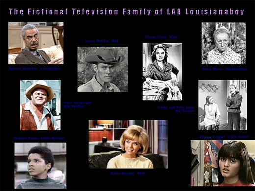 The Fictional TV Family Members